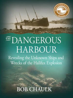 cover image of The Dangerous Harbour